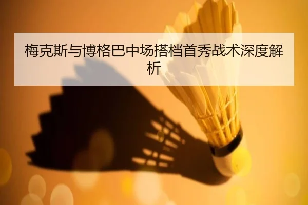 梅克斯与博格巴中场搭档首秀战术深度解析